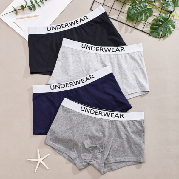 Men's underwear 0002