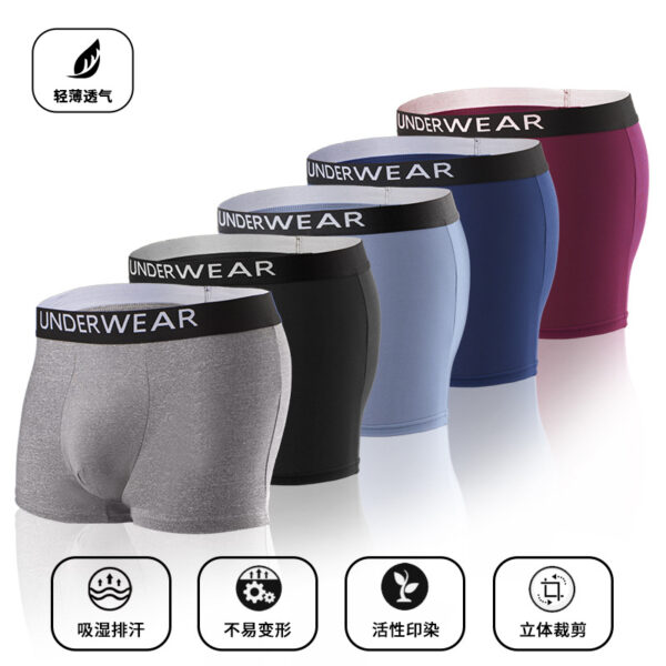 Men's underwear 0005