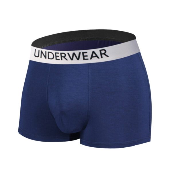 Men's underwear 0002 - Image 5