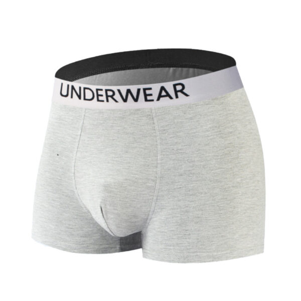 Men's underwear 0002 - Image 3