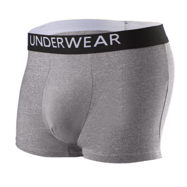 Men's underwear 0005 - Image 2