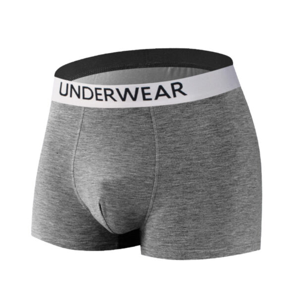 Men's underwear 0002 - Image 2