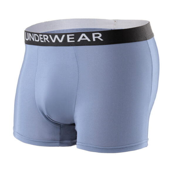 Men's underwear 0005 - Image 4