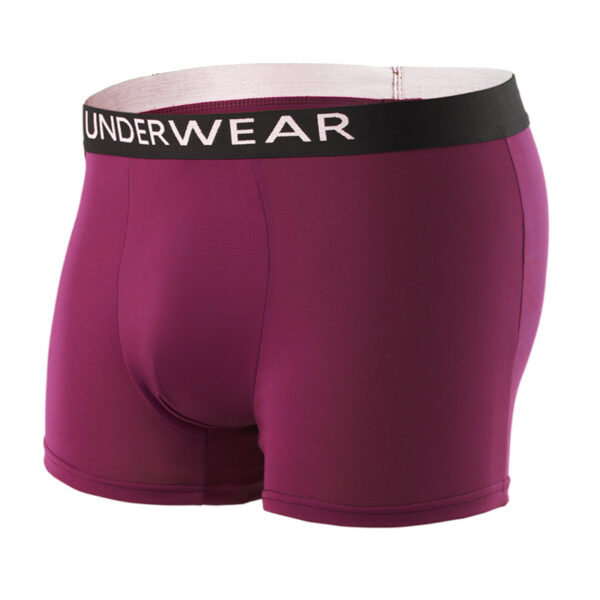 Men's underwear 0005 - Image 3